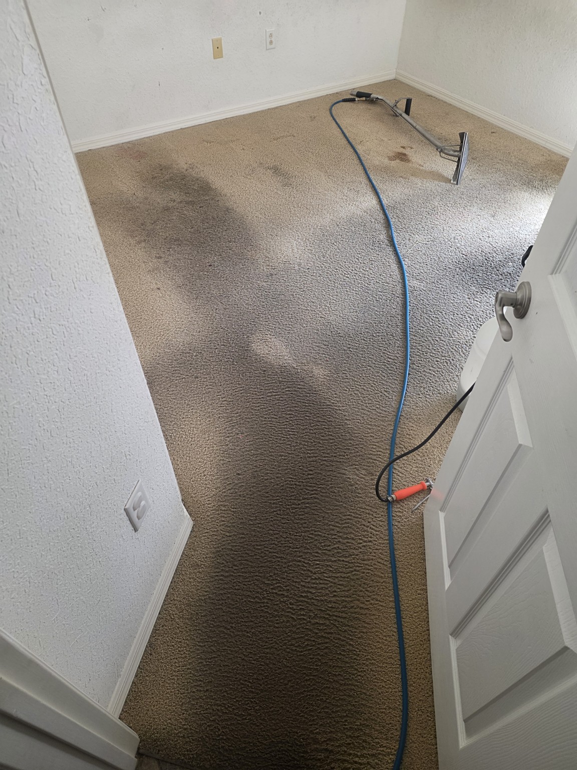 That Guy Cleaning Co. carpet cleaning in progress